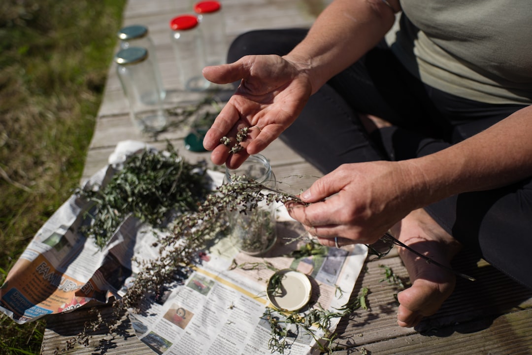 Verticale kruidentuin: vers groen aan je muur, balkon of schutting